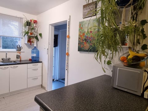 6 Huia Street, Piopio, Piopio