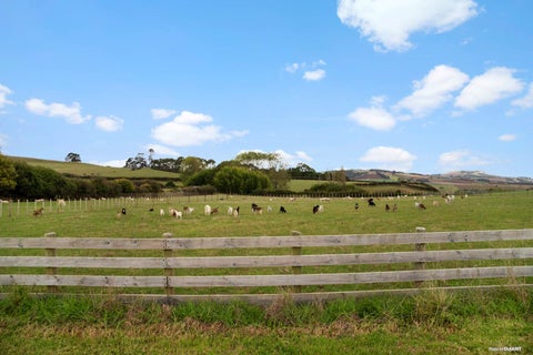 309 Trig Road, Tuakau, Tuakau