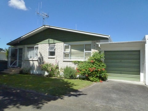 48 Birmingham Street, Takaro, Palmerston North