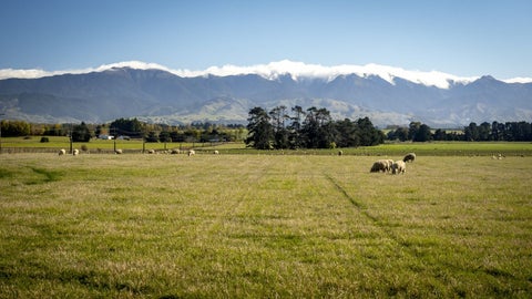 593 East Taratahi Road, East Taratahi, Carterton