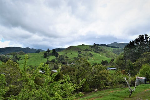99 Bulltown Road, Waihi, Waihi