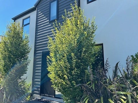 1/20 Ajax Street, Burwood, Christchurch