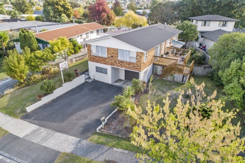 22 Michael Avenue, Dinsdale, Hamilton