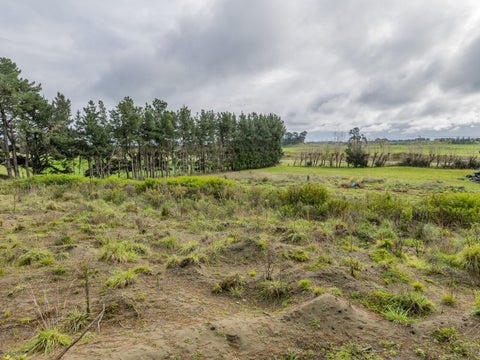 500A Foxton Shannon Road, Foxton, Foxton