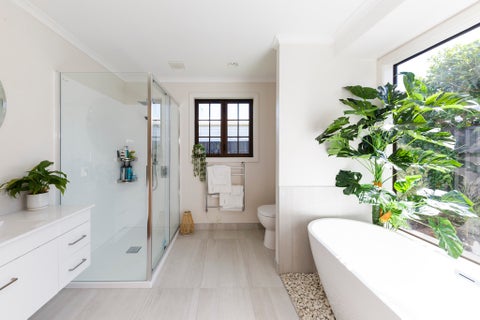 295 Albert Street, Hokowhitu, Palmerston North