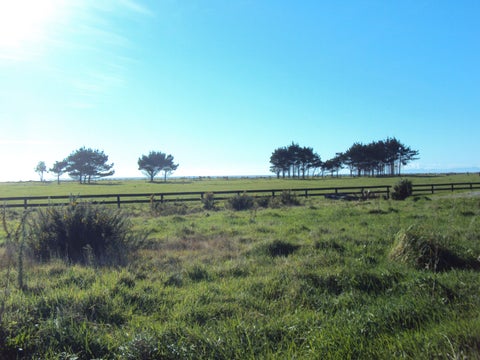 20 Elley Drive, Carters Beach, Westport