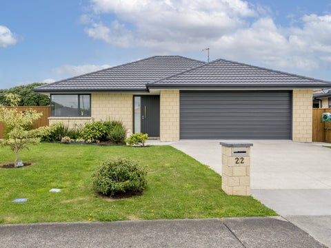 22 Barry Curtis Place, Levin, Levin