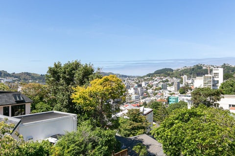 5 Mckenzie Terrace, Te Aro, Wellington