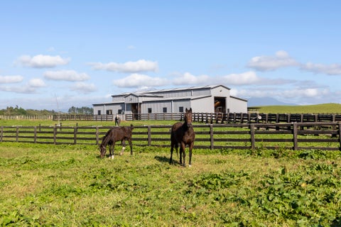 302 Corbett Road, Paraite, New Plymouth