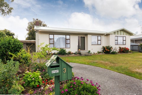 3 Hurley Place, Awapuni, Palmerston North