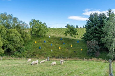 53 Clitheroe Street, Otautau, Otautau
