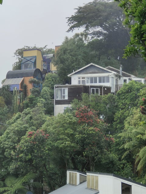 13A Koromiko Road, Aro Valley, Wellington