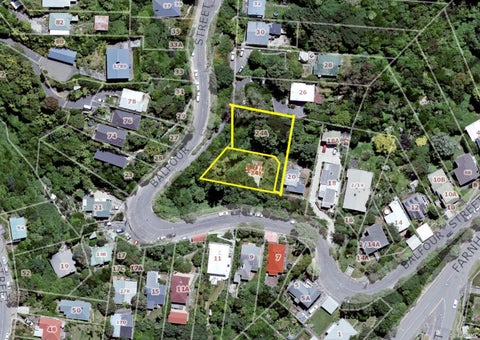24A Balfour Street, Mornington, Wellington
