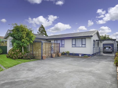 1014 Waipuna Street, Mahora, Hastings