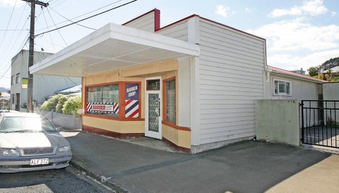 313 Mansfield Street, Newtown, Wellington