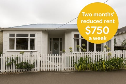 29 Rintoul Street, Newtown, Wellington