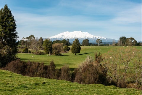 0 Makotuku Valley Rd (State Highway 4), Raetihi, Raetihi