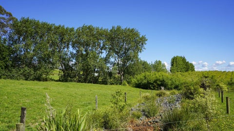 46 Moorfield Road, Te Kauwhata, Te Kauwhata