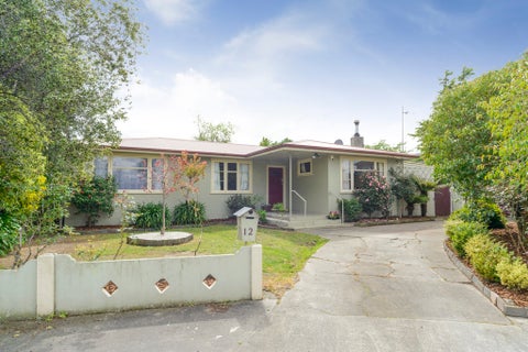12 Tawa Street, Palmerston North, Palmerston North