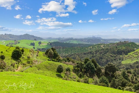 232 Arcadia Road, Paparoa, Paparoa