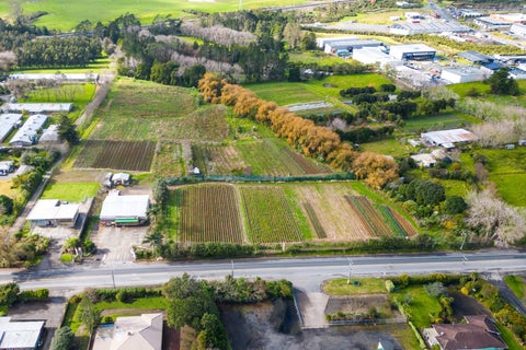 113 Fred Taylor Drive, Whenuapai, Auckland