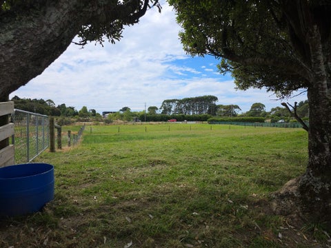 125 Golf Links Road, Ruatapu