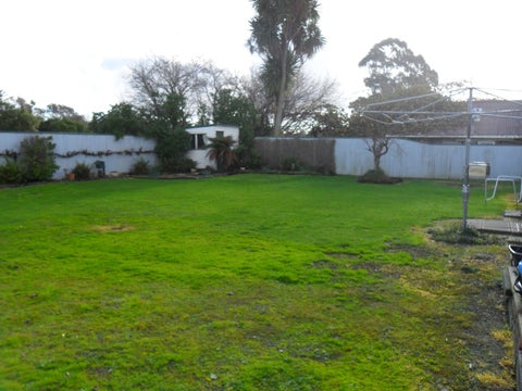 82 Shamrock Street, Takaro, Palmerston North