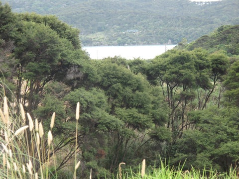 19 Seabreeze Way, Raglan, Raglan