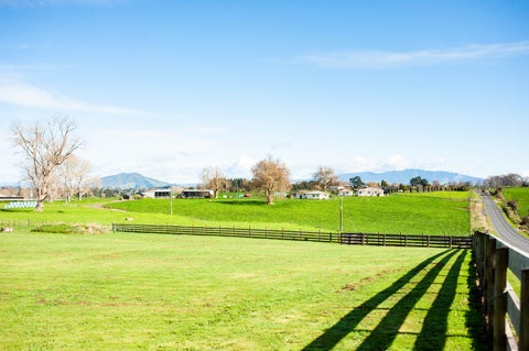 300 Puahue Road, Te Awamutu, Te Awamutu
