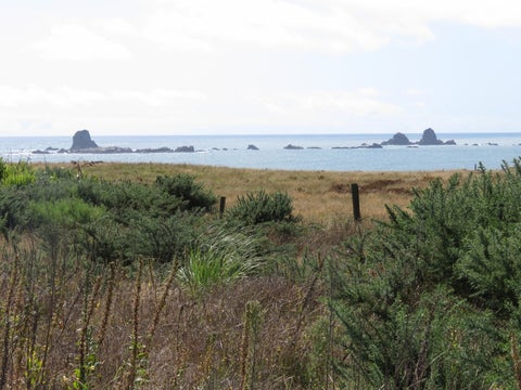 1036 Cape Foulwind Road, Cape Foulwind, Cape Foulwind