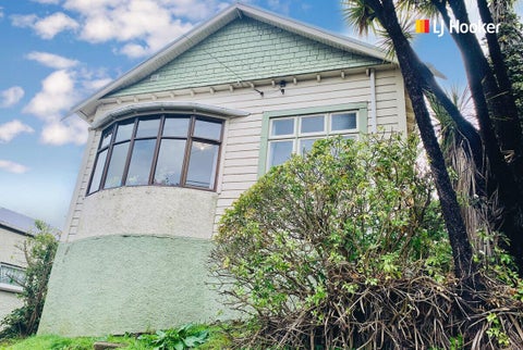 53 Mechanic Street, North East Valley, Dunedin