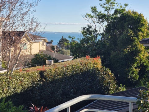 24A Walmsley Road, St Heliers, Auckland