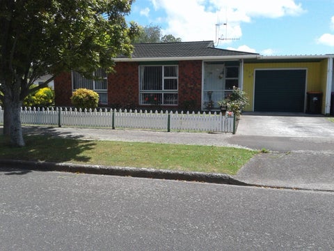 213 Vogel Street, Roslyn, Palmerston North
