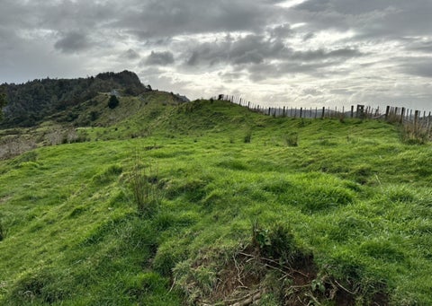 0 Okoki Road, Urenui, Urenui