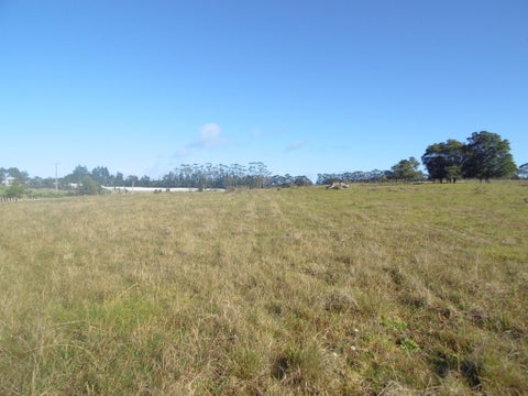113 Stanners Road, Kerikeri, Kerikeri