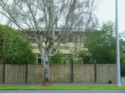 442 Albert Street, Hokowhitu, Palmerston North