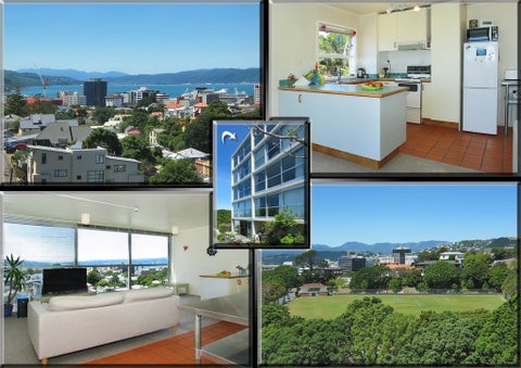 8/24 Patanga Crescent, Thorndon, Wellington
