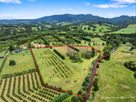 30B Thompsons Track, Aongatete, Aongatete