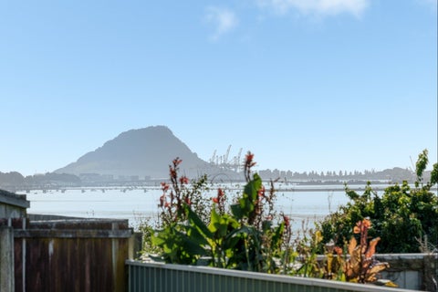 17 Vine Avenue, Maungatapu, Tauranga