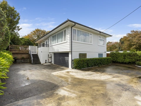 25 MacArthur Street, Levin, Levin