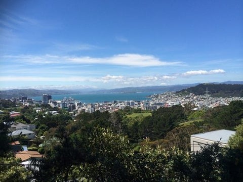 100 Mortimer Terrace, Brooklyn, Wellington