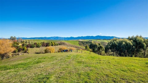 41 Harley Ridge, Upper Moutere