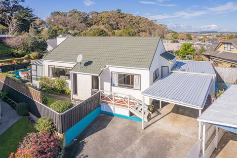 22 Treadwell Street, Springvale, Whanganui