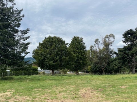 188 Roslyn Road, Levin, Levin