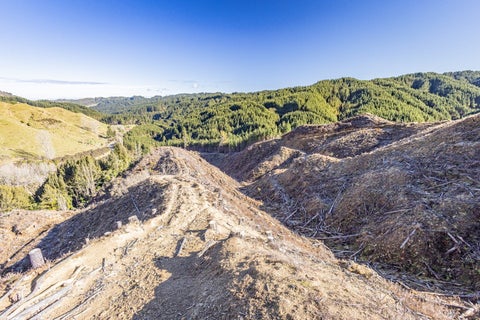 0 Oio Rd, Owhango