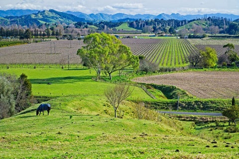 0 Ormond Valley Road, Ormond, Gisborne