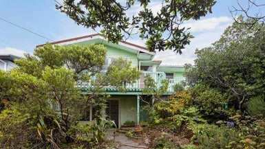 119 Buckley Road, Southgate, Wellington