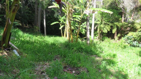 0 Whatuwhiwhi Road, Karikari Peninsula