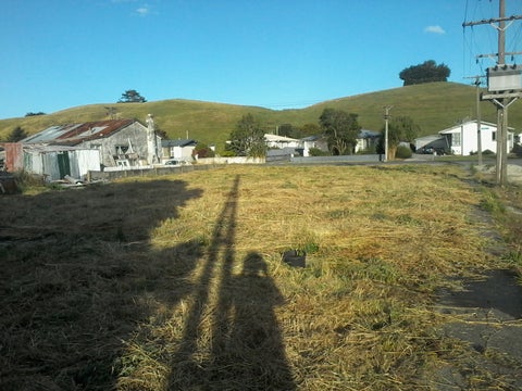 12 Clyde Street, Mataura, Mataura