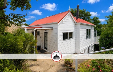 29 Tyne Street, Roslyn, Dunedin